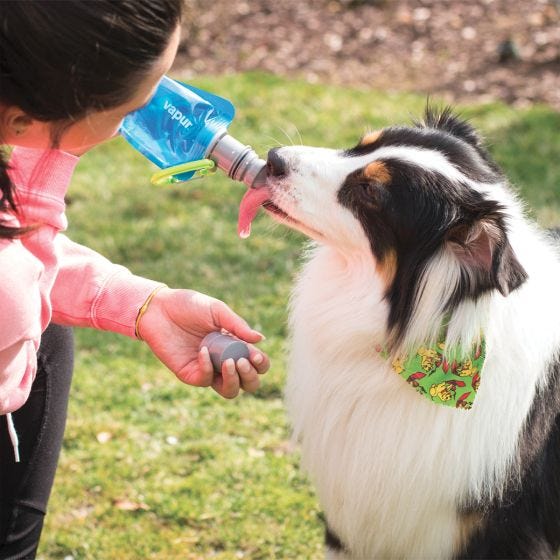 Vapur Ez Lick Portable Dog Vandflaske - Water